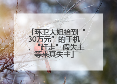 环卫大姐拾到“30万元”的手机，“赶走”假失主等来真失主