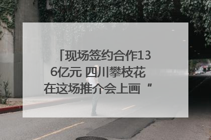 现场签约合作136亿元 四川攀枝花在这场推介会上画“图谱”列“清单”