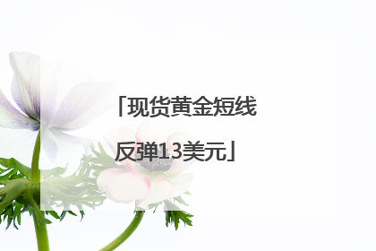 现货黄金短线反弹13美元