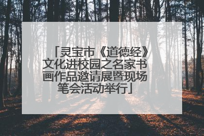 灵宝市《道德经》文化进校园之名家书画作品邀请展暨现场笔会活动举行