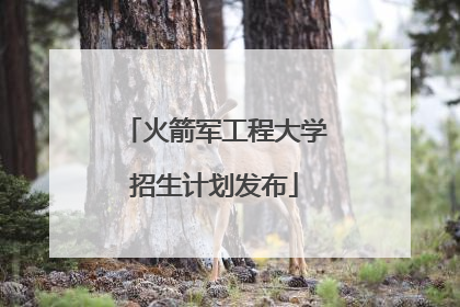 火箭军工程大学招生计划发布