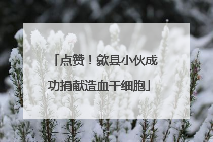 点赞！歙县小伙成功捐献造血干细胞