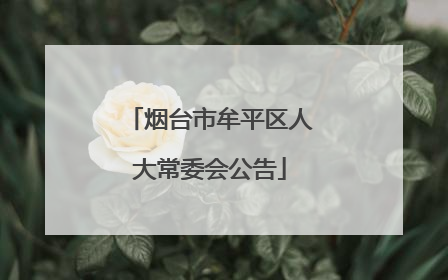 烟台市牟平区人大常委会公告