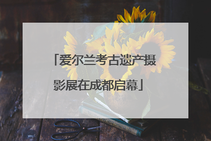 爱尔兰考古遗产摄影展在成都启幕