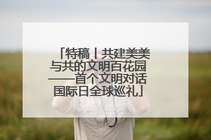 特稿丨共建美美与共的文明百花园——首个文明对话国际日全球巡礼