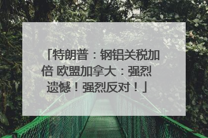 特朗普：钢铝关税加倍 欧盟加拿大：强烈遗憾！强烈反对！