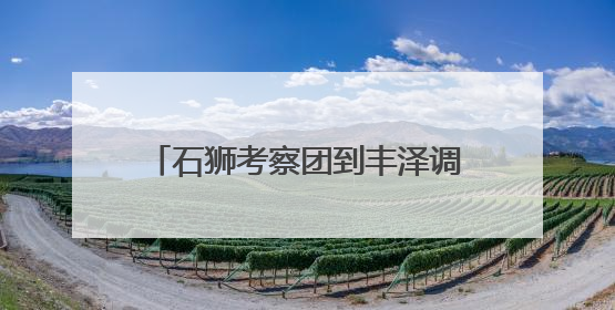 石狮考察团到丰泽调研蟳埔民俗文化村