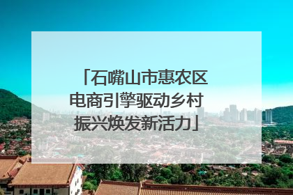 石嘴山市惠农区电商引擎驱动乡村振兴焕发新活力