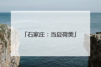 石家庄：当夏荷美