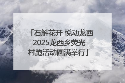 石斛花开 悦动龙西 2025龙西乡荧光村跑活动圆满举行