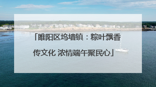 睢阳区坞墙镇：粽叶飘香传文化 浓情端午聚民心