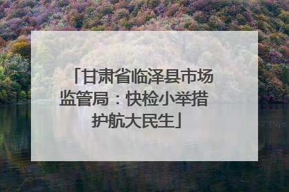 甘肃省临泽县市场监管局：快检小举措 护航大民生