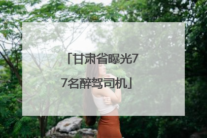 甘肃省曝光77名醉驾司机