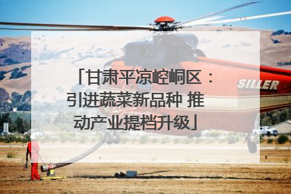 甘肃平凉崆峒区：引进蔬菜新品种 推动产业提档升级