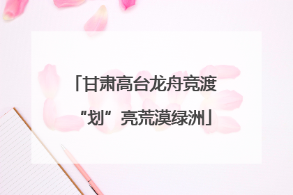 甘肃高台龙舟竞渡“划”亮荒漠绿洲
