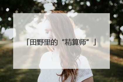 田野里的“精算师”