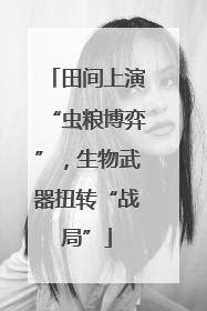 田间上演“虫粮博弈”，生物武器扭转“战局”