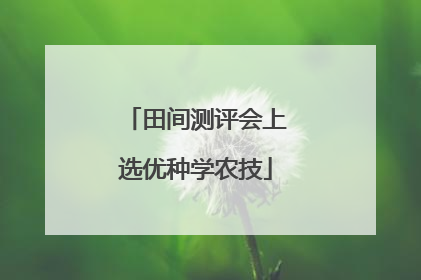 田间测评会上选优种学农技