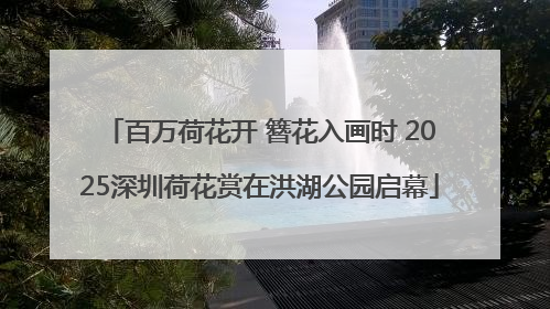 百万荷花开 簪花入画时 2025深圳荷花赏在洪湖公园启幕