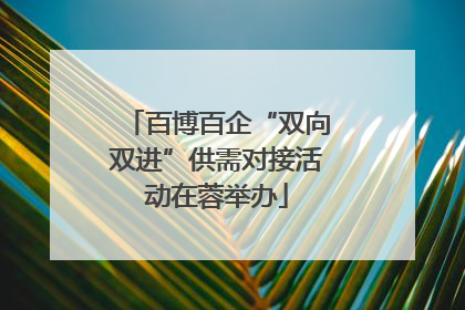 百博百企“双向双进”供需对接活动在蓉举办