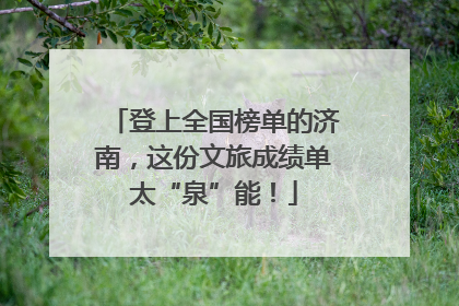 登上全国榜单的济南，这份文旅成绩单太“泉”能！
