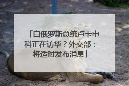 白俄罗斯总统卢卡申科正在访华？外交部：将适时发布消息