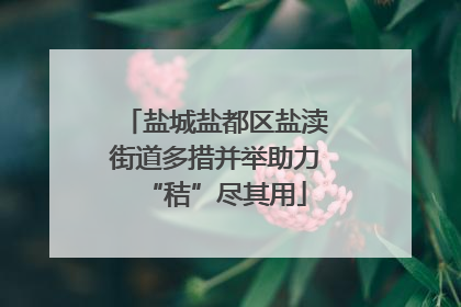 盐城盐都区盐渎街道多措并举助力“秸”尽其用