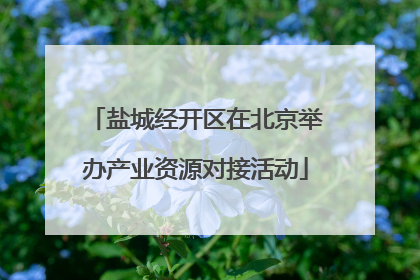 盐城经开区在北京举办产业资源对接活动