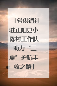 省供销社驻正阳县小陈村工作队 助力“三夏”护航丰收之路