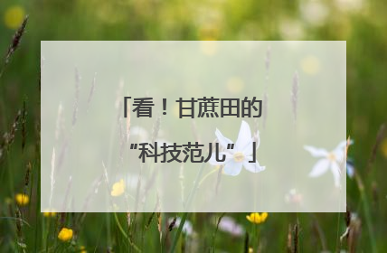看！甘蔗田的“科技范儿”