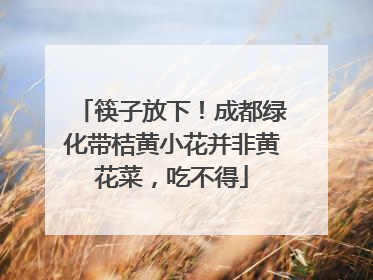 筷子放下！成都绿化带桔黄小花并非黄花菜，吃不得