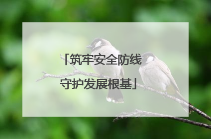 筑牢安全防线 守护发展根基