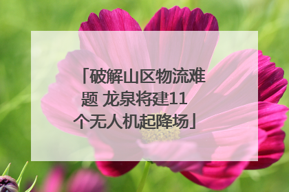 破解山区物流难题 龙泉将建11个无人机起降场