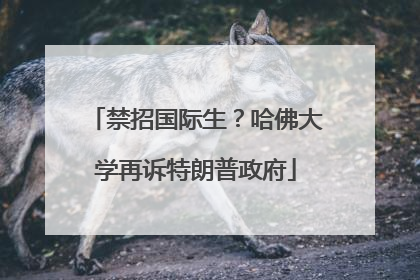 禁招国际生？哈佛大学再诉特朗普政府
