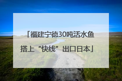 福建宁德30吨活水鱼搭上“快线”出口日本
