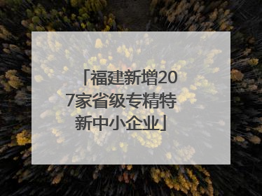 福建新增207家省级专精特新中小企业