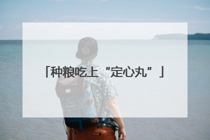 种粮吃上“定心丸”