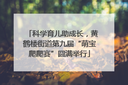 科学育儿助成长，黄鹤楼街道第九届“萌宝爬爬赛”圆满举行