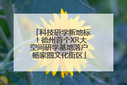 科技研学新地标！德州首个XR大空间研学基地落户杨家圈文化街区