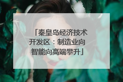 秦皇岛经济技术开发区：制造业向智能向高端攀升