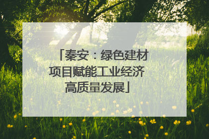 秦安：绿色建材项目赋能工业经济高质量发展