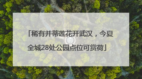 稀有并蒂莲花开武汉，今夏全城28处公园点位可赏荷