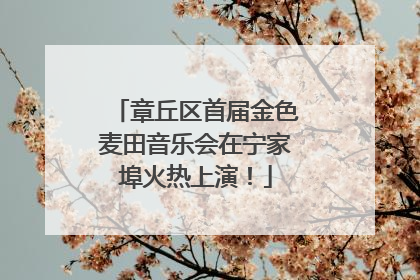 章丘区首届金色麦田音乐会在宁家埠火热上演！