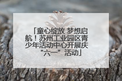 童心绽放 梦想启航！苏州工业园区青少年活动中心开展庆“六一”活动