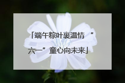 端午粽叶裹温情 “六一”童心向未来