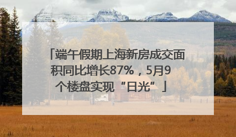 端午假期上海新房成交面积同比增长87%，5月9个楼盘实现“日光”