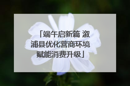 端午启新篇 溆浦县优化营商环境赋能消费升级