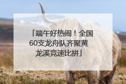 端午好热闹！全国60支龙舟队齐聚黄龙溪竞速比拼