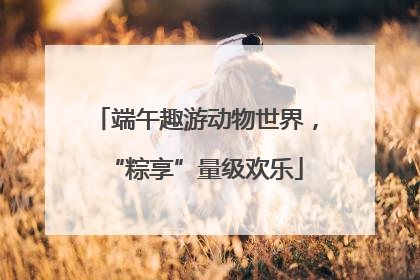 端午趣游动物世界，“粽享”量级欢乐