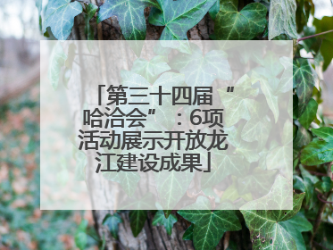 第三十四届“哈洽会”：6项活动展示开放龙江建设成果